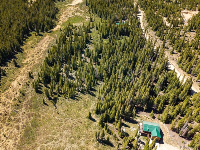 5680 Timberline Ter, Fairplay, CO 80440