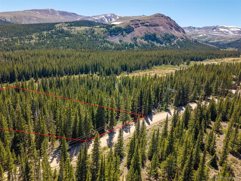 5680 Timberline Ter, Fairplay, CO 80440