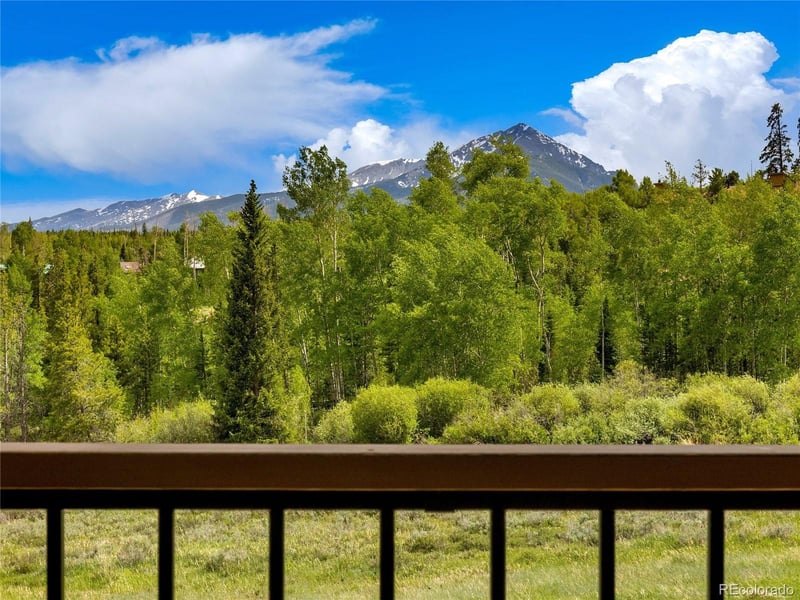 1148 Royal Buffalo Dr, Silverthorne, CO 80498