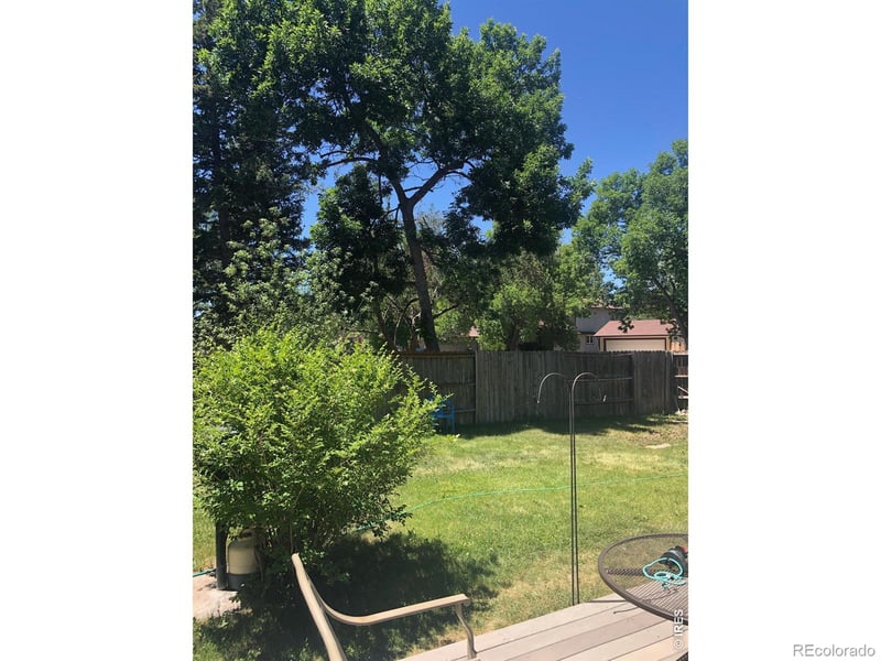 3133 Birmingham Dr, Fort Collins, CO 80526