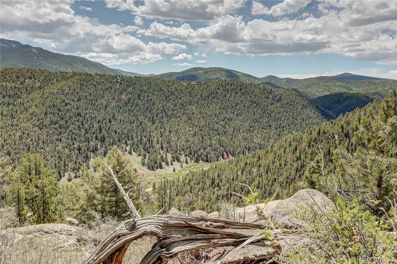 59 Robin Point, Divide, CO 80814