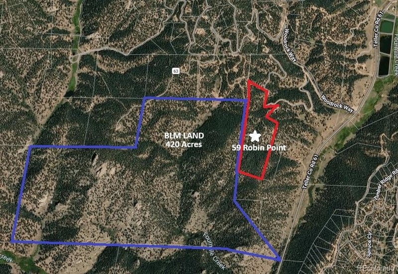 59 Robin Point, Divide, CO 80814