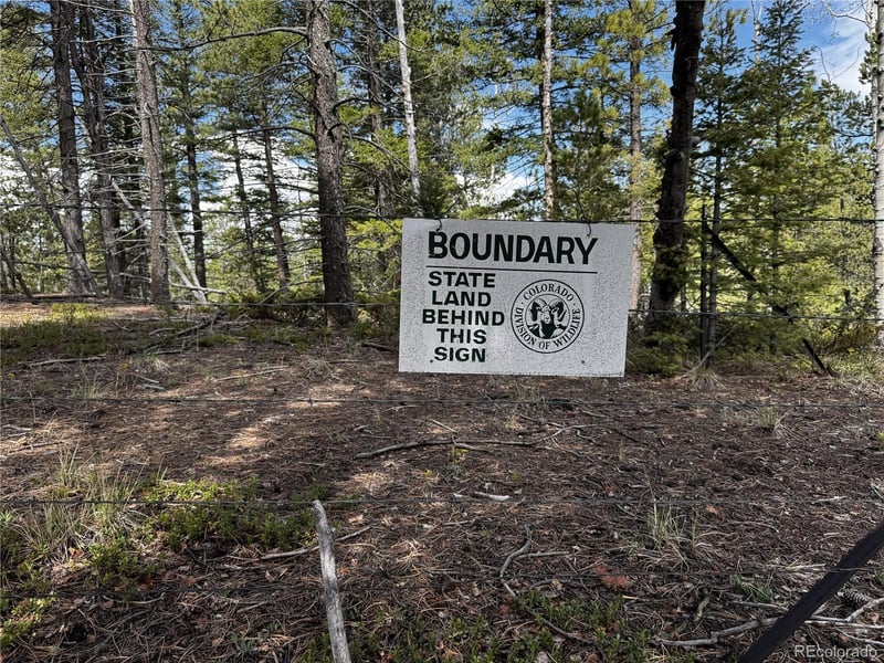 59 Robin Point, Divide, CO 80814