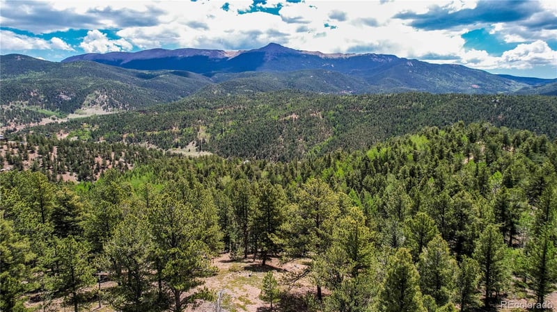 59 Robin Point, Divide, CO 80814