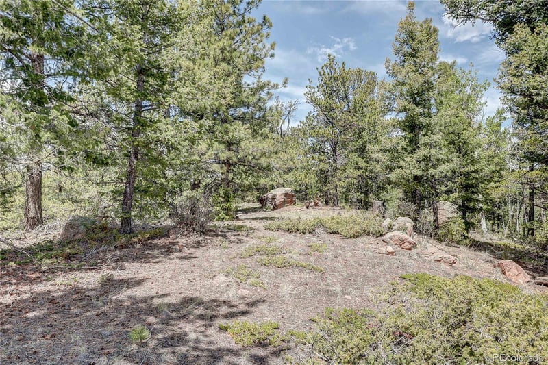 59 Robin Point, Divide, CO 80814