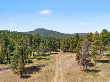 23300 Pleasant Park Rd, Conifer, CO 80433