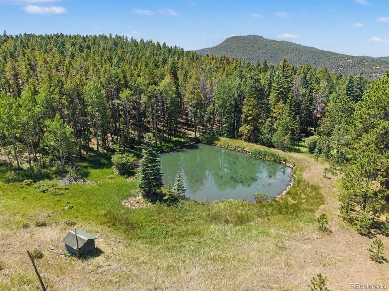 23300 Pleasant Park Rd, Conifer, CO 80433
