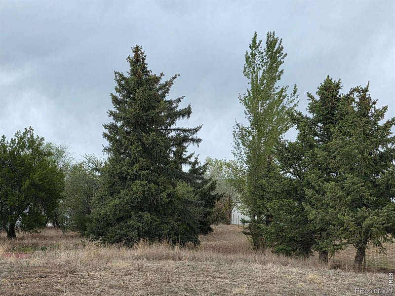 20219 County Road 3, Berthoud, CO 80513