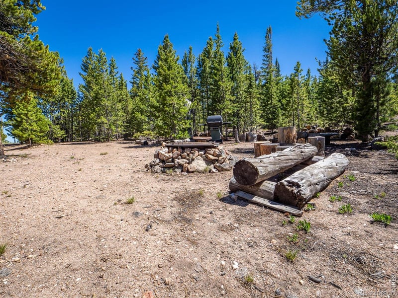 231 Nanticoke Ct, Red Feather Lakes, CO 80545
