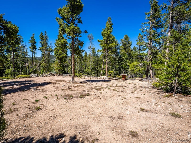 231 Nanticoke Ct, Red Feather Lakes, CO 80545