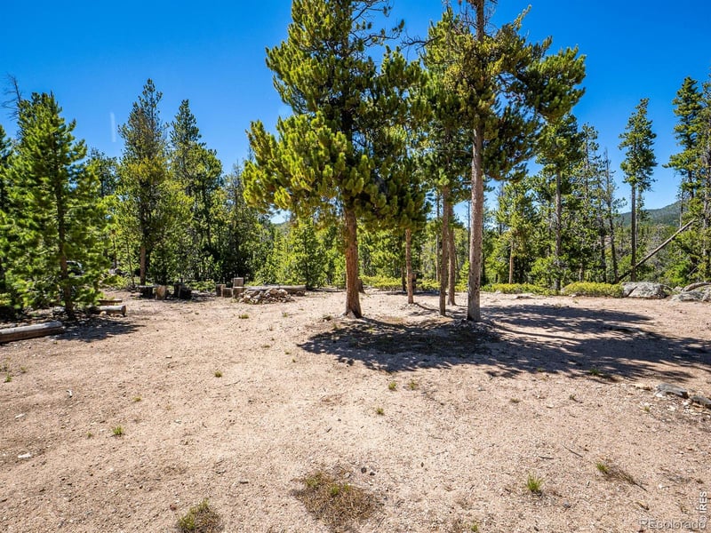 231 Nanticoke Ct, Red Feather Lakes, CO 80545