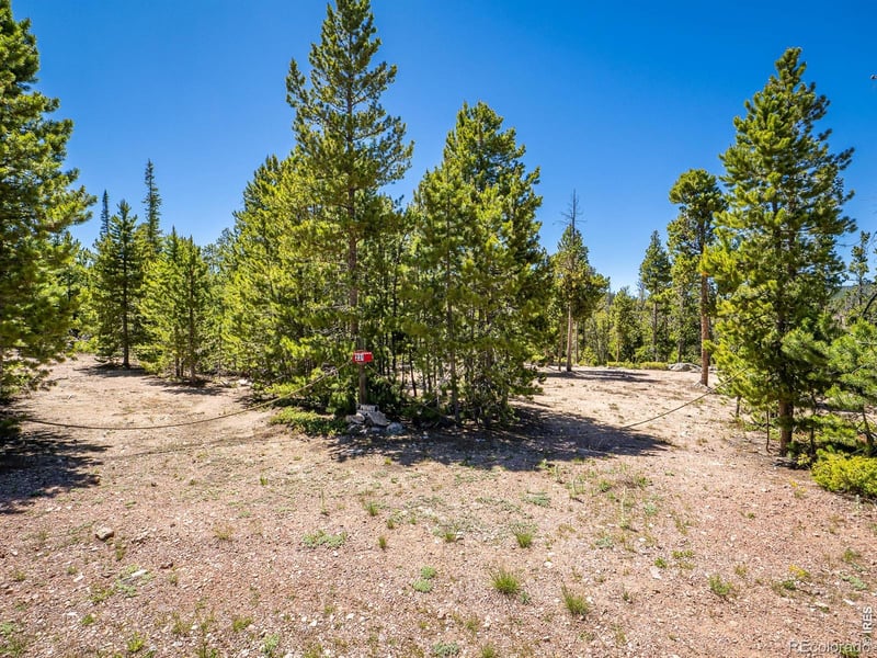 231 Nanticoke Ct, Red Feather Lakes, CO 80545
