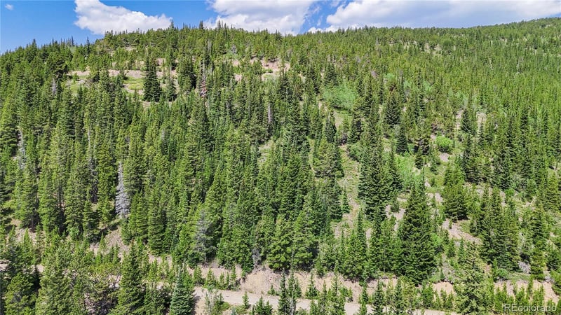 508 Hilltop Rd Lot 508, Idaho Springs, CO 80452