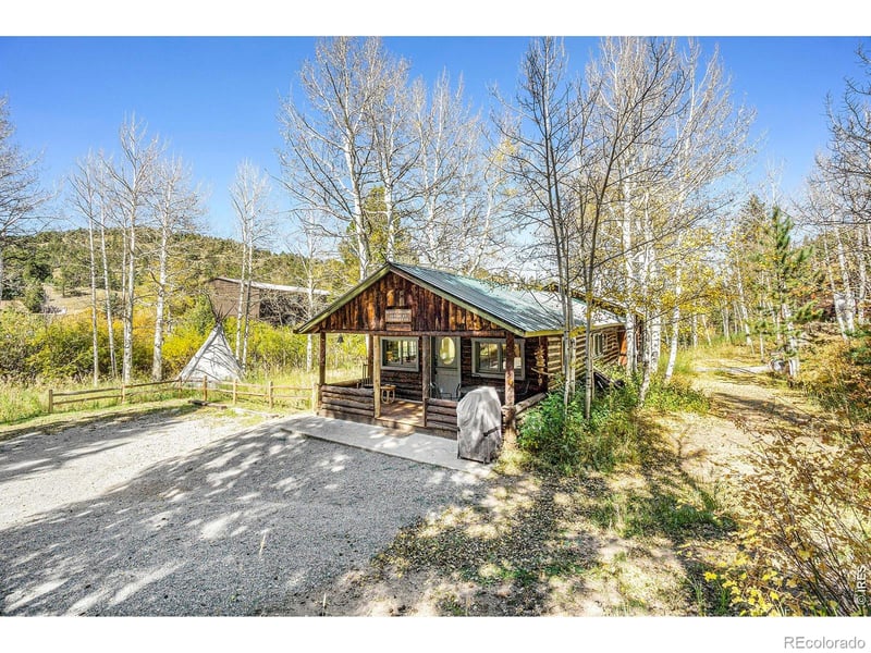 1087 Highway 7 Bus Rte, Allenspark, CO 80510
