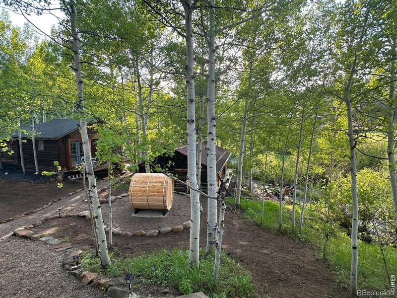 1087 Highway 7 Bus Rte, Allenspark, CO 80510