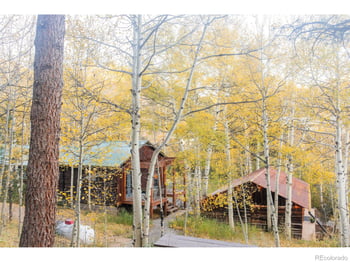 1087 Highway 7 Bus Rte, Allenspark, CO 80510