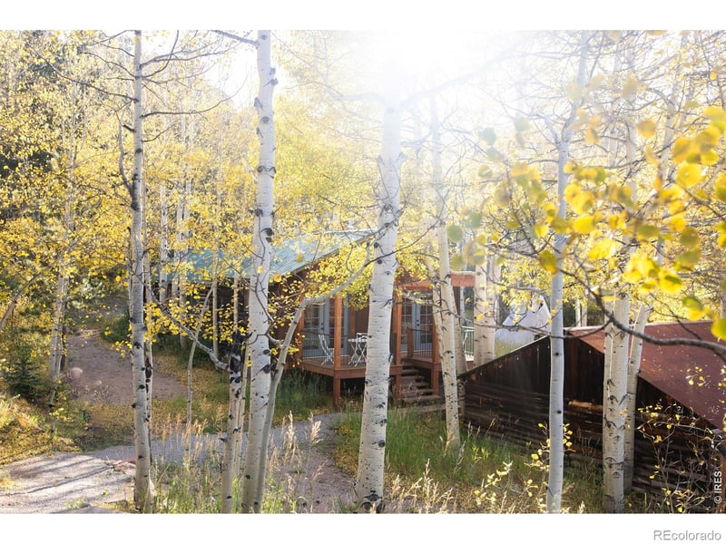 1087 Highway 7 Bus Rte, Allenspark, CO 80510