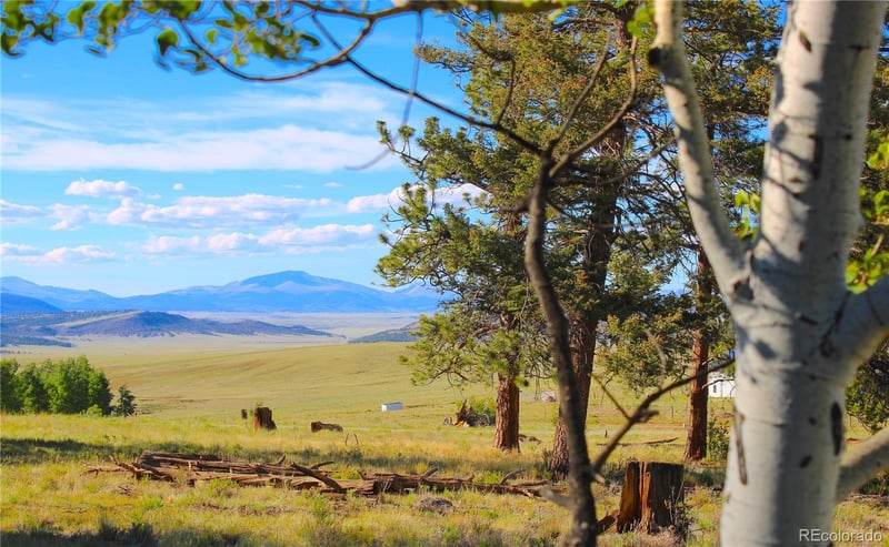 4180 Singletree Rd Lot 734, Hartsel, CO 80449