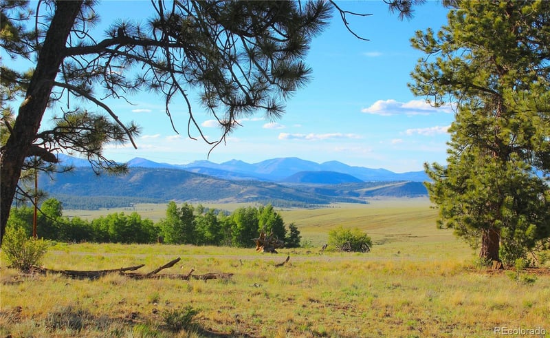 4180 Singletree Rd Lot 734, Hartsel, CO 80449