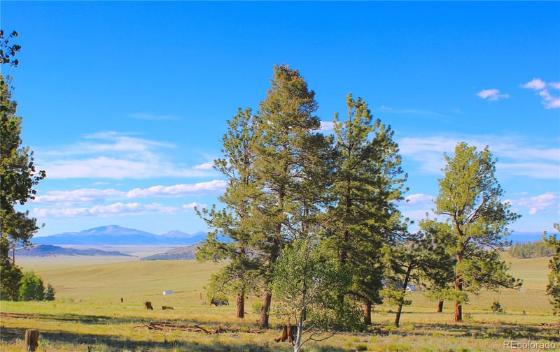 4180 Singletree Rd Lot 734, Hartsel, CO 80449