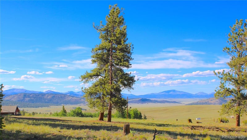 4180 Singletree Rd Lot 734, Hartsel, CO 80449