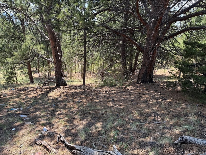 1986 May Queen Dr, Cripple Creek, CO 80813