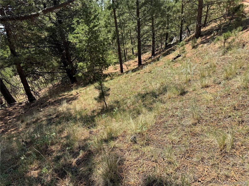 1986 May Queen Dr, Cripple Creek, CO 80813