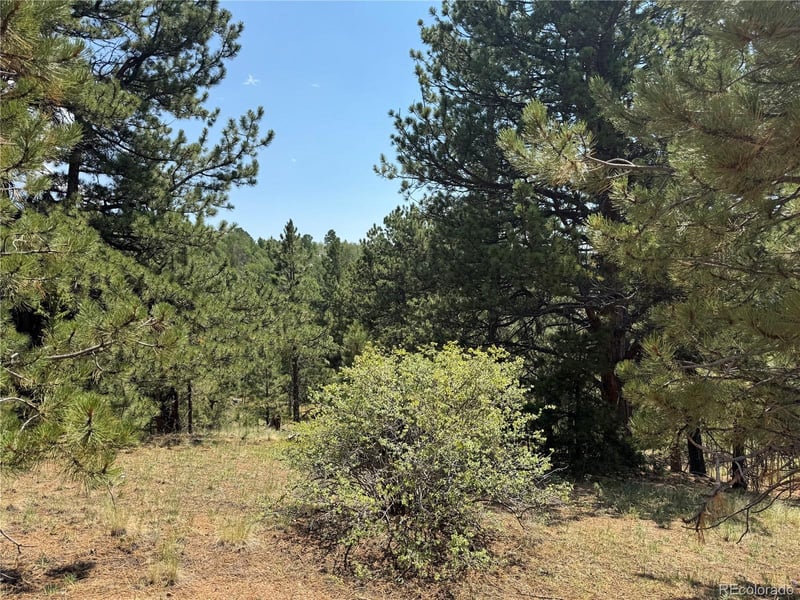 1986 May Queen Dr, Cripple Creek, CO 80813