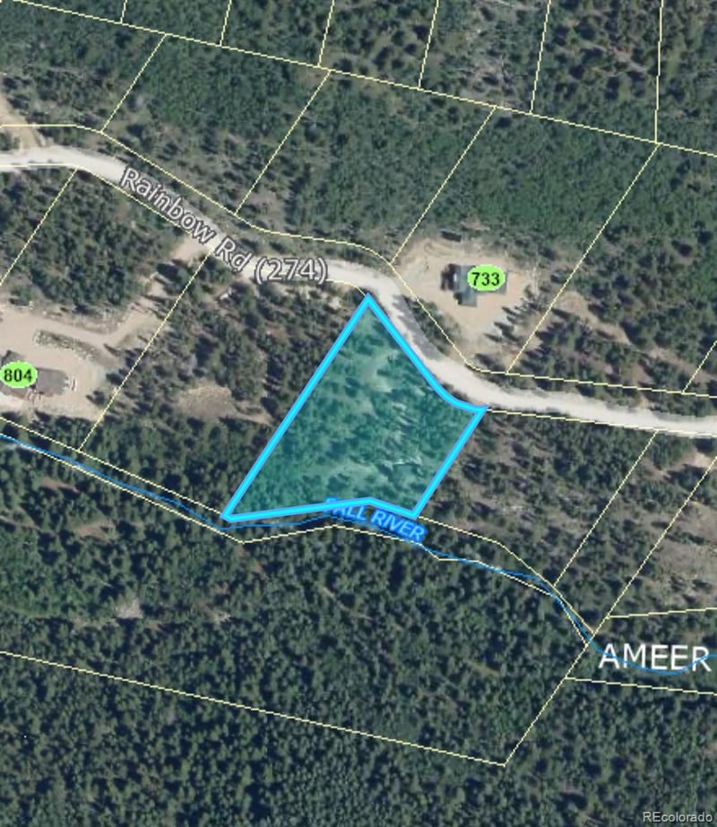 19 Rainbow Rd, Idaho Springs, CO 80452