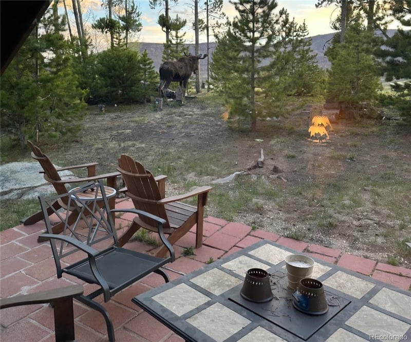 240 Gcr 4980 , Grand Lake, CO 80447