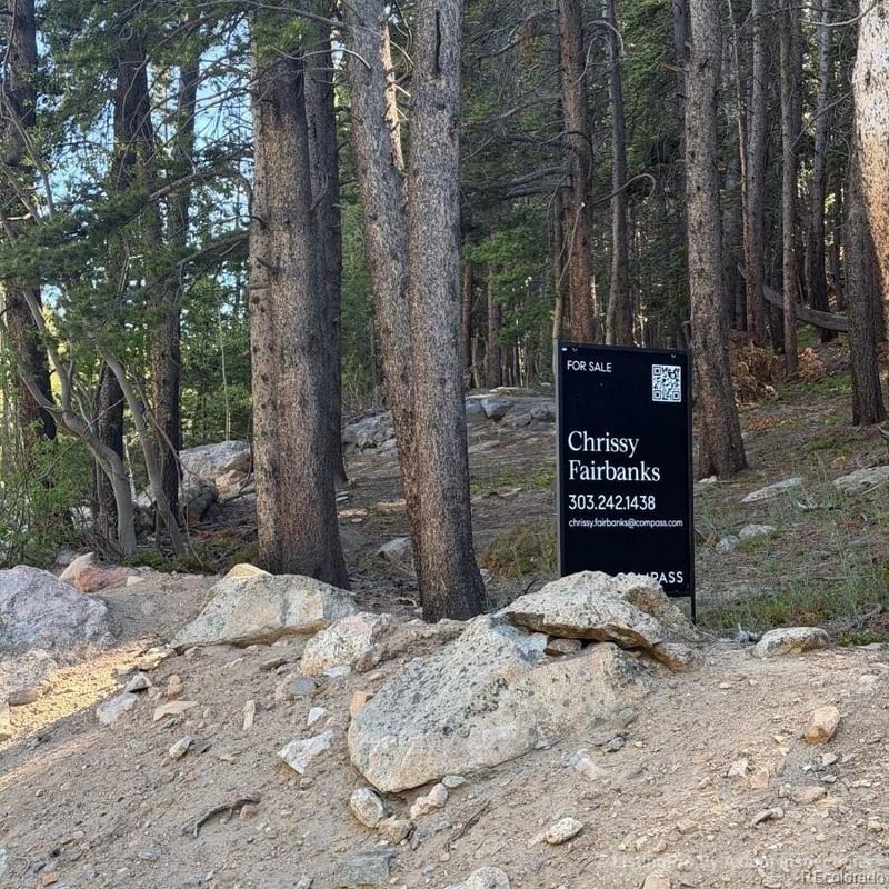 Lot 378 Alice Rd Lot 378, Idaho Springs, CO 80452