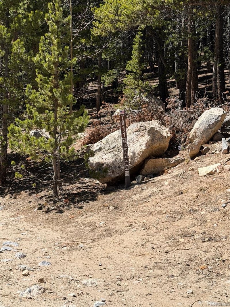 Lot 378 Alice Rd Lot 378, Idaho Springs, CO 80452
