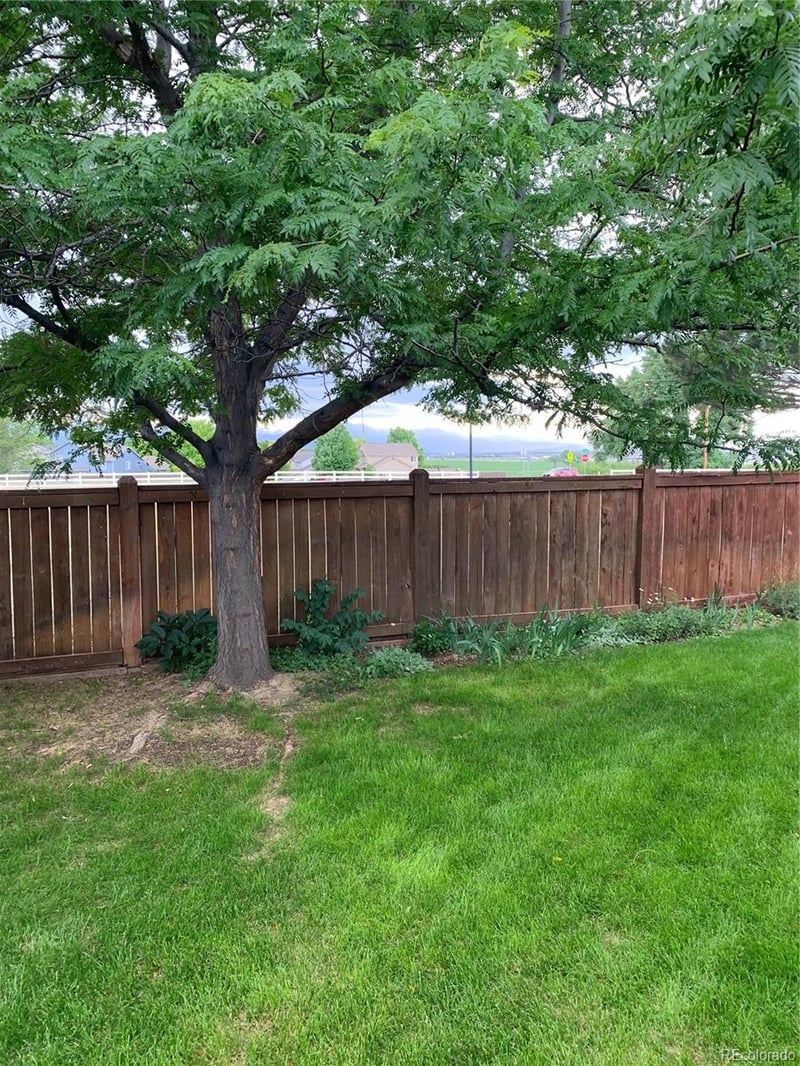 5211 Mt Audubon St, Frederick, CO 80504