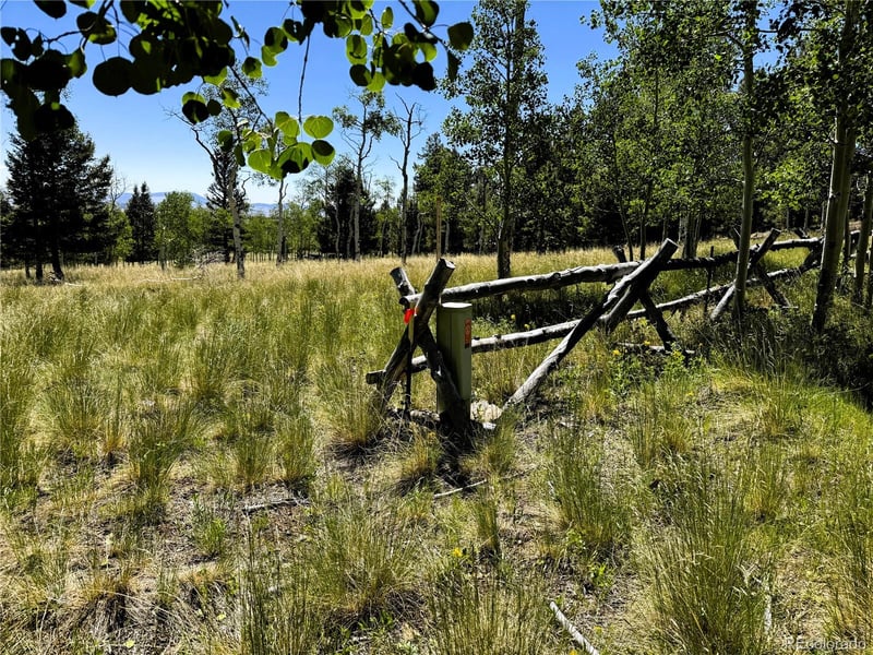 110 Kaufman Ct Lot 1214, Hartsel, CO 80449