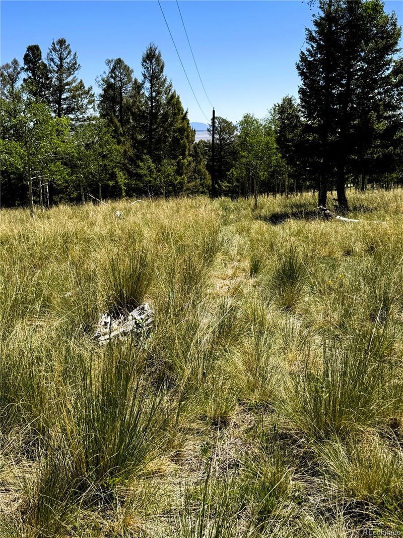 110 Kaufman Ct Lot 1214, Hartsel, CO 80449