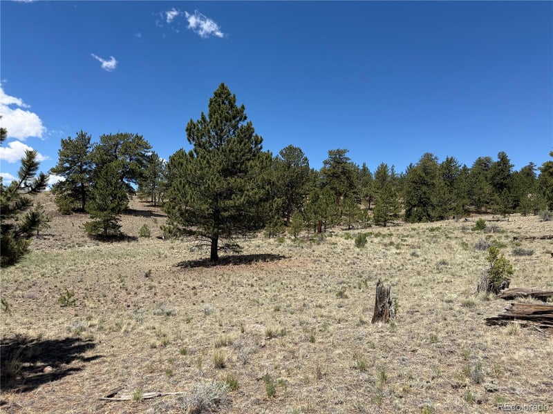 595 Bridle Pa, Hartsel, CO 80449