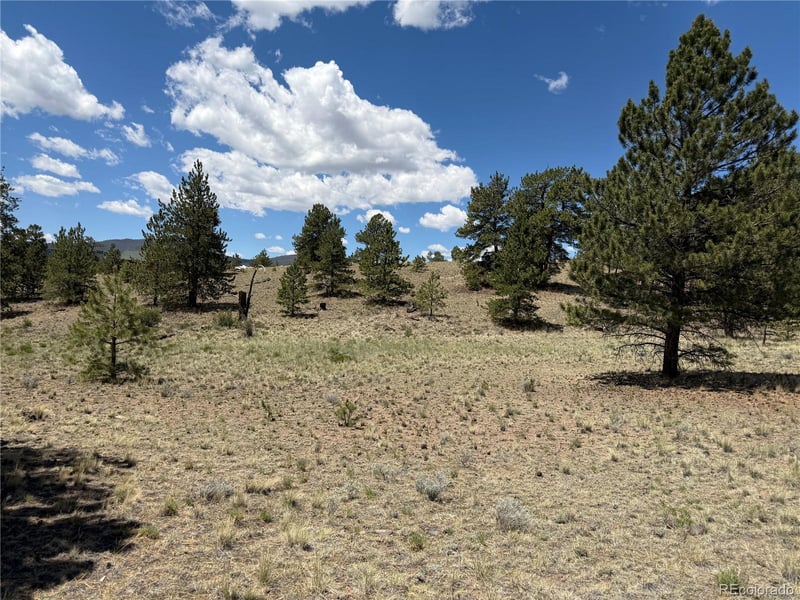 595 Bridle Pa, Hartsel, CO 80449