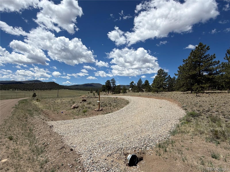 595 Bridle Pa, Hartsel, CO 80449