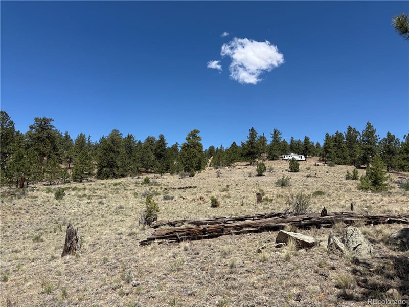 595 Bridle Pa, Hartsel, CO 80449