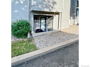 720 City Park Ave #410, Fort Collins, CO 80521
