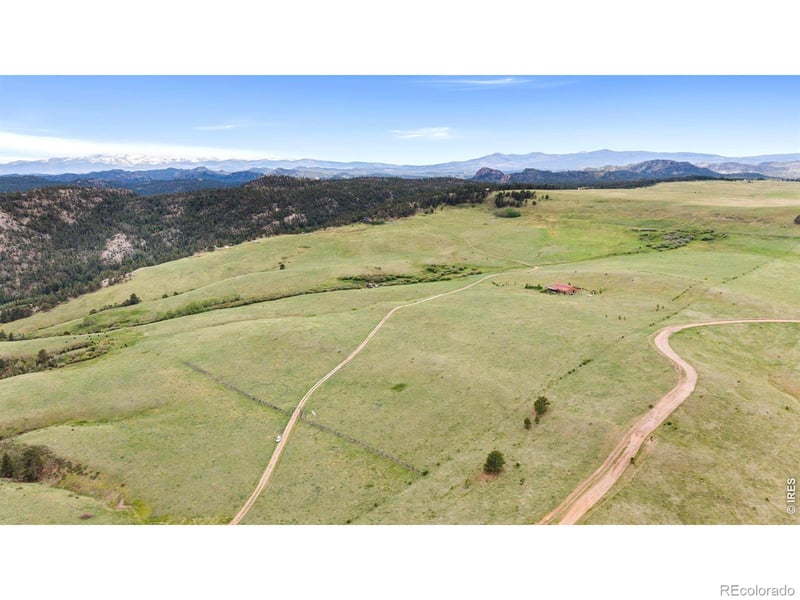 260 Coyote Holler Way, Livermore, CO 80536