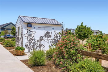 6352 Icegrass Ave, Loveland, CO 80538