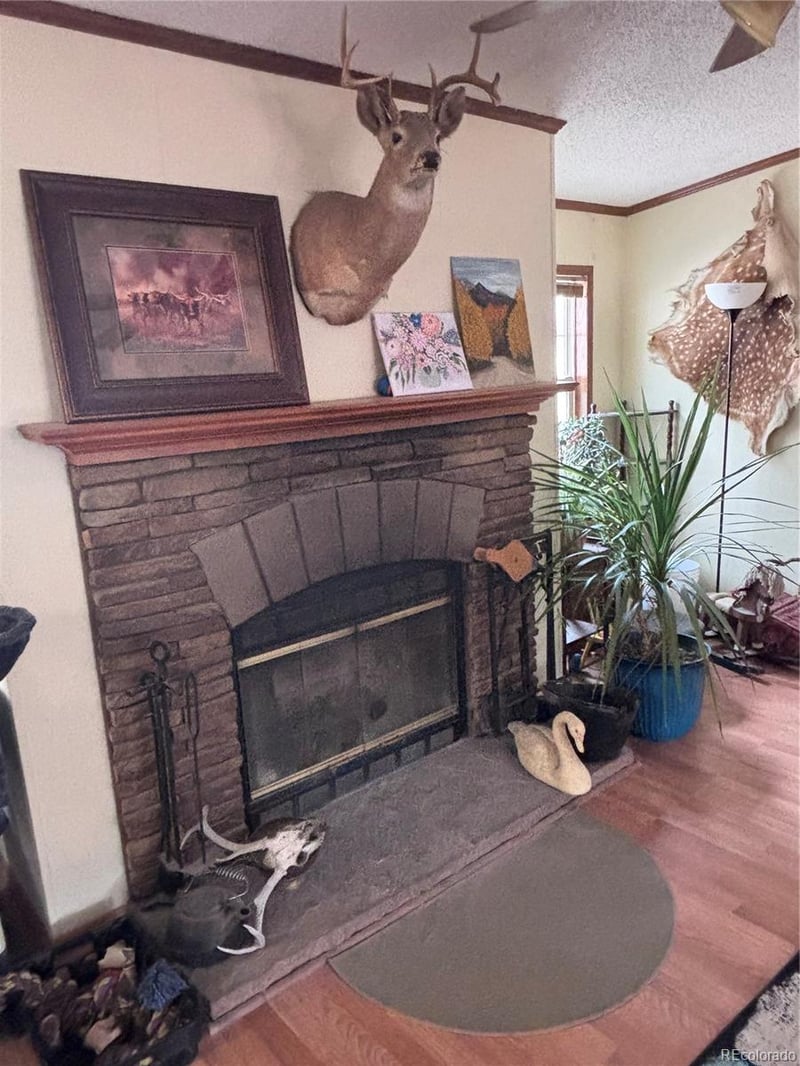 4758 Copper Gulch Rd, Cotopaxi, CO 81223