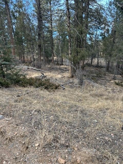260 Ranch Resorts Dr, Florissant, CO 80816