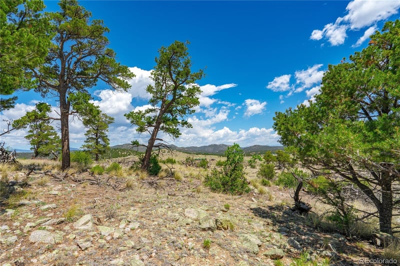 896 Shannon Trl, Cotopaxi, CO 81223