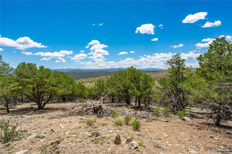 896 Shannon Trl, Cotopaxi, CO 81223