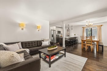 315 S 2nd Ave #105, Frisco, CO 80443