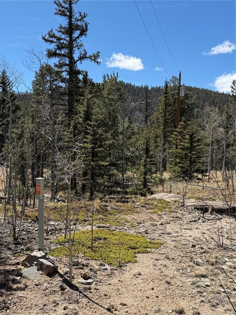233 Cradle Board Ct, Jefferson, CO 80456