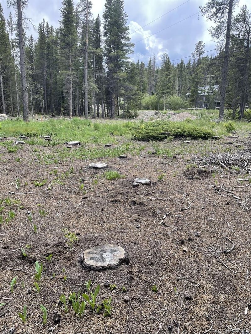Silver Creek Rd, Idaho Springs, CO 80452