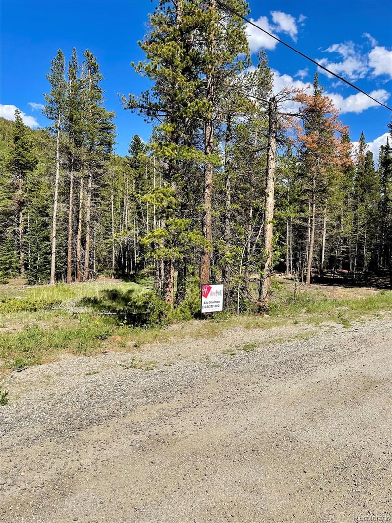 Silver Creek Rd, Idaho Springs, CO 80452